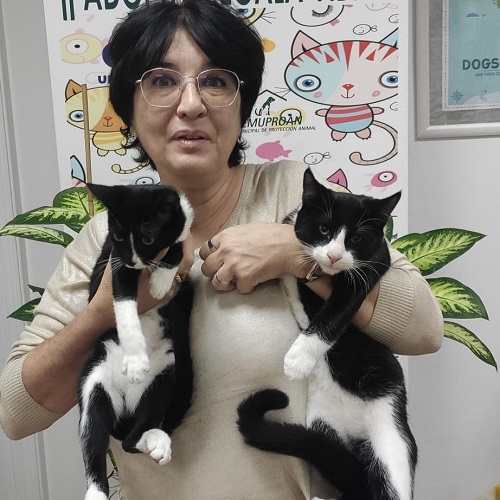 ¡Capone y Amaite adoptados!