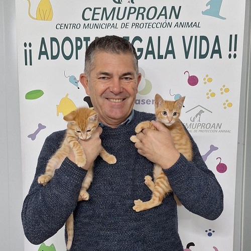 ¡Gilgi y Meraki adoptados!