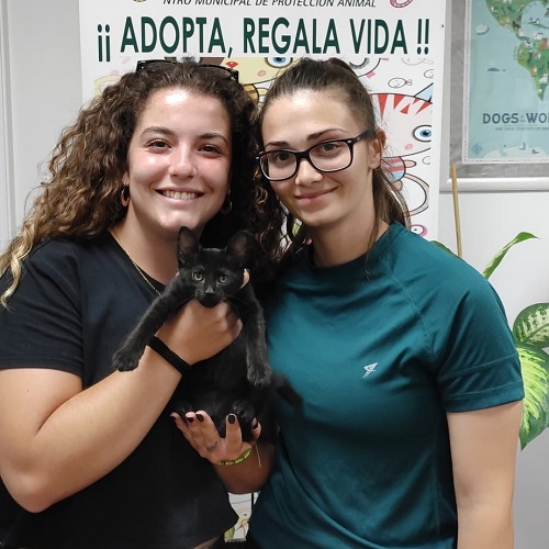 Hijuela Prieto20 adopted!