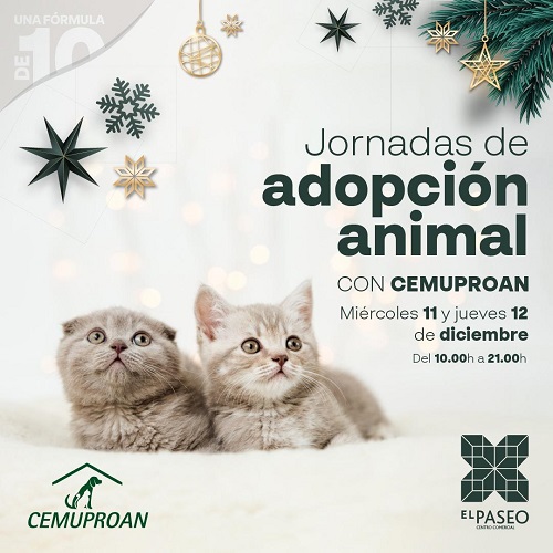 Animal adoption day.!