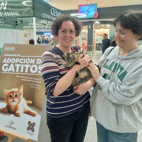 Lulú adopted!